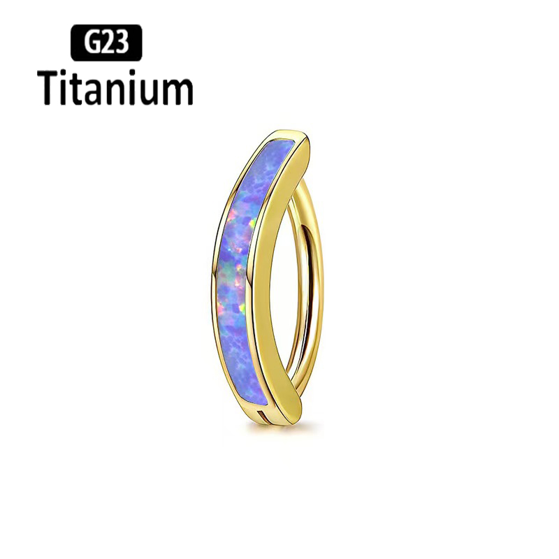 1PC 14G Implant Grade G23 Tita - مراجعة Body Jewelry Implant Grade وسعره