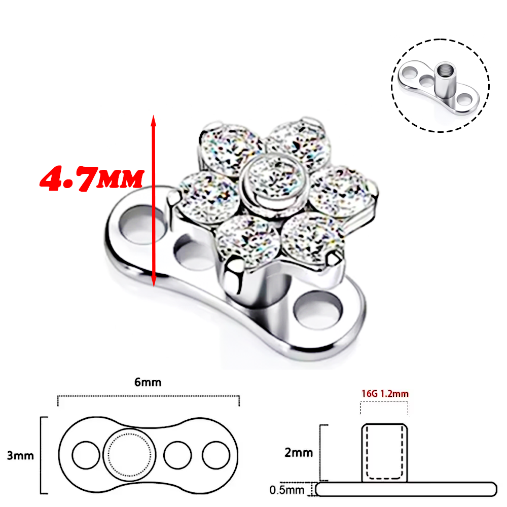 F136 Titanium Alloy High-Quali - مراجعة Body Jewelry Implant Grade وسعره